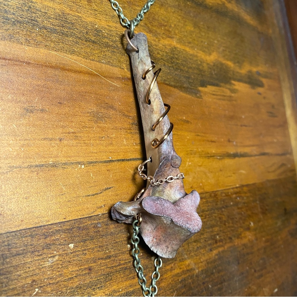 Dyed Deer Vertebrae Bone Copper Wire Brass Chain Necklace - Picture 6 of 12